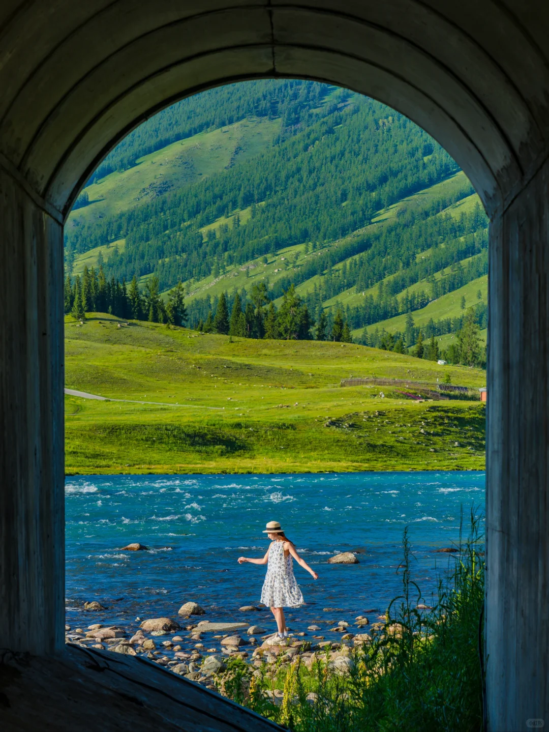 7月的新疆，一定会刷新你对夏天的想象！