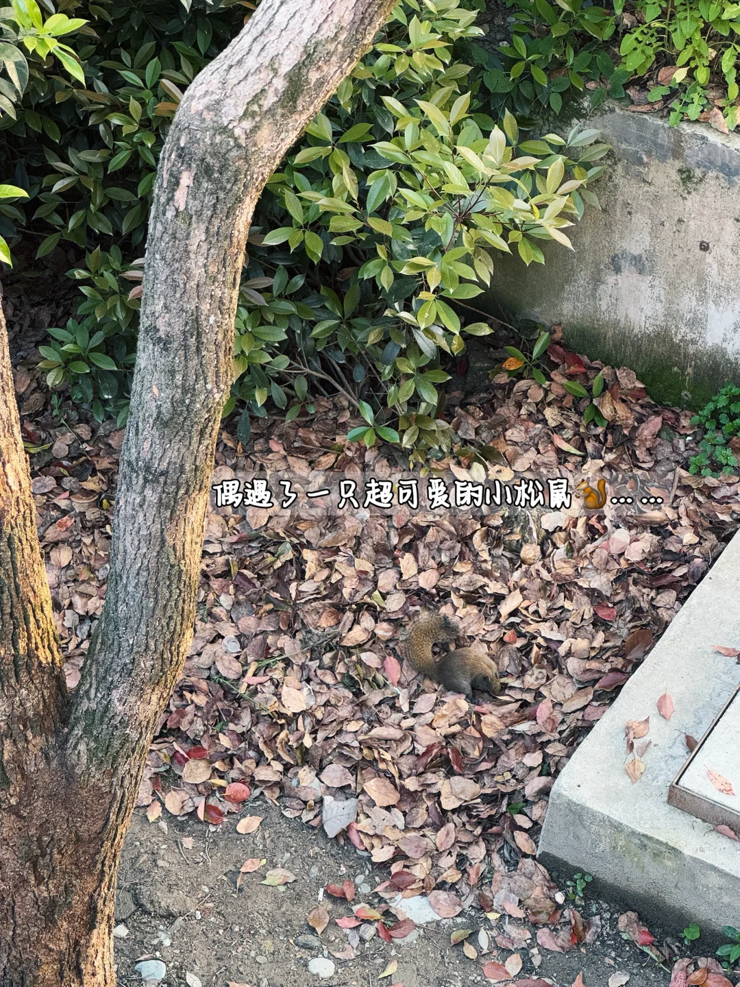 不愧是《国家地理》推荐的避世古村!!美哭了😭