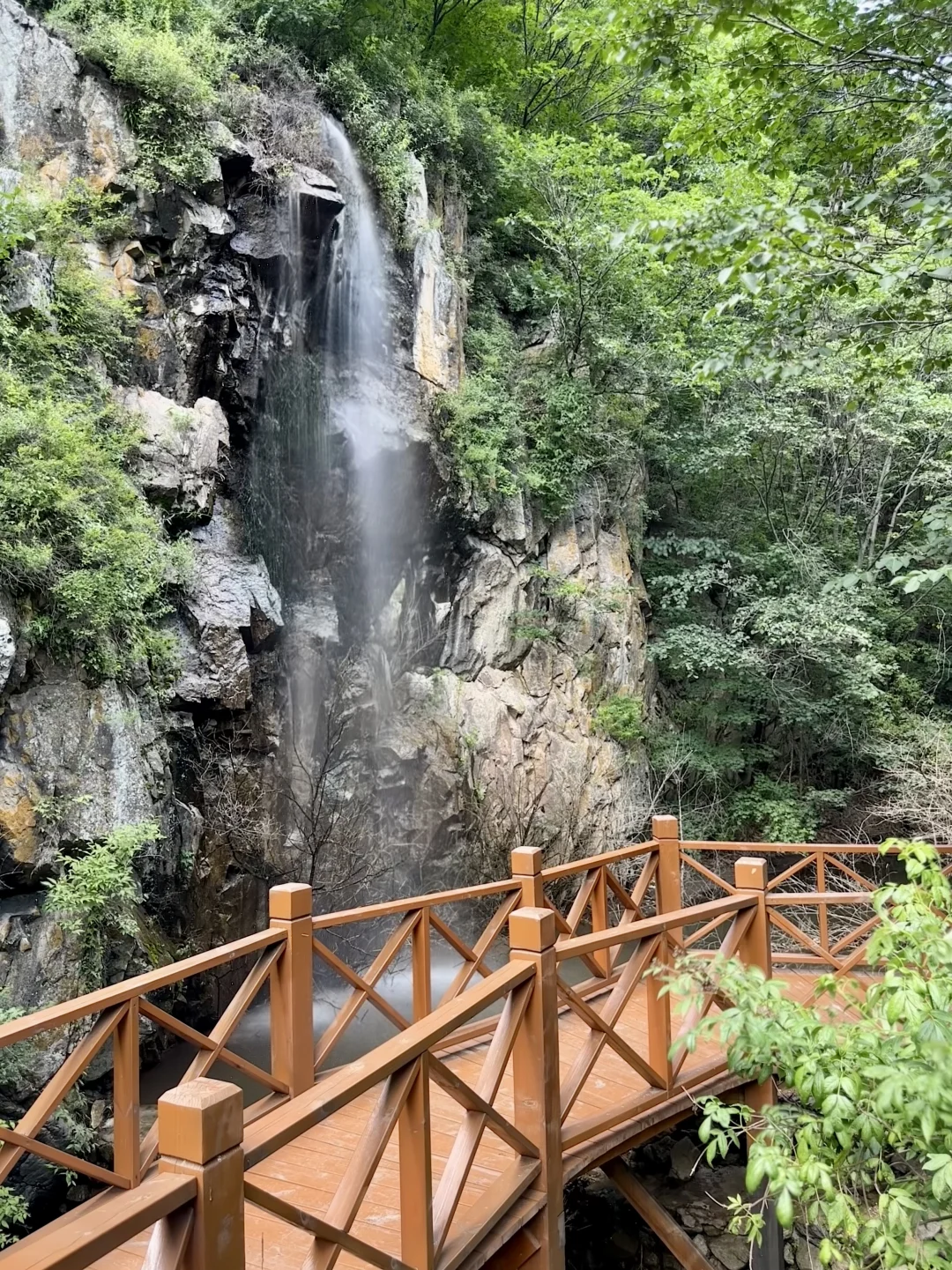 京郊阿勒泰✧🧺...𝙃𝙖𝙥𝙥𝙞𝙣𝙚𝙨𝙨 ˡ̵˖☻˚