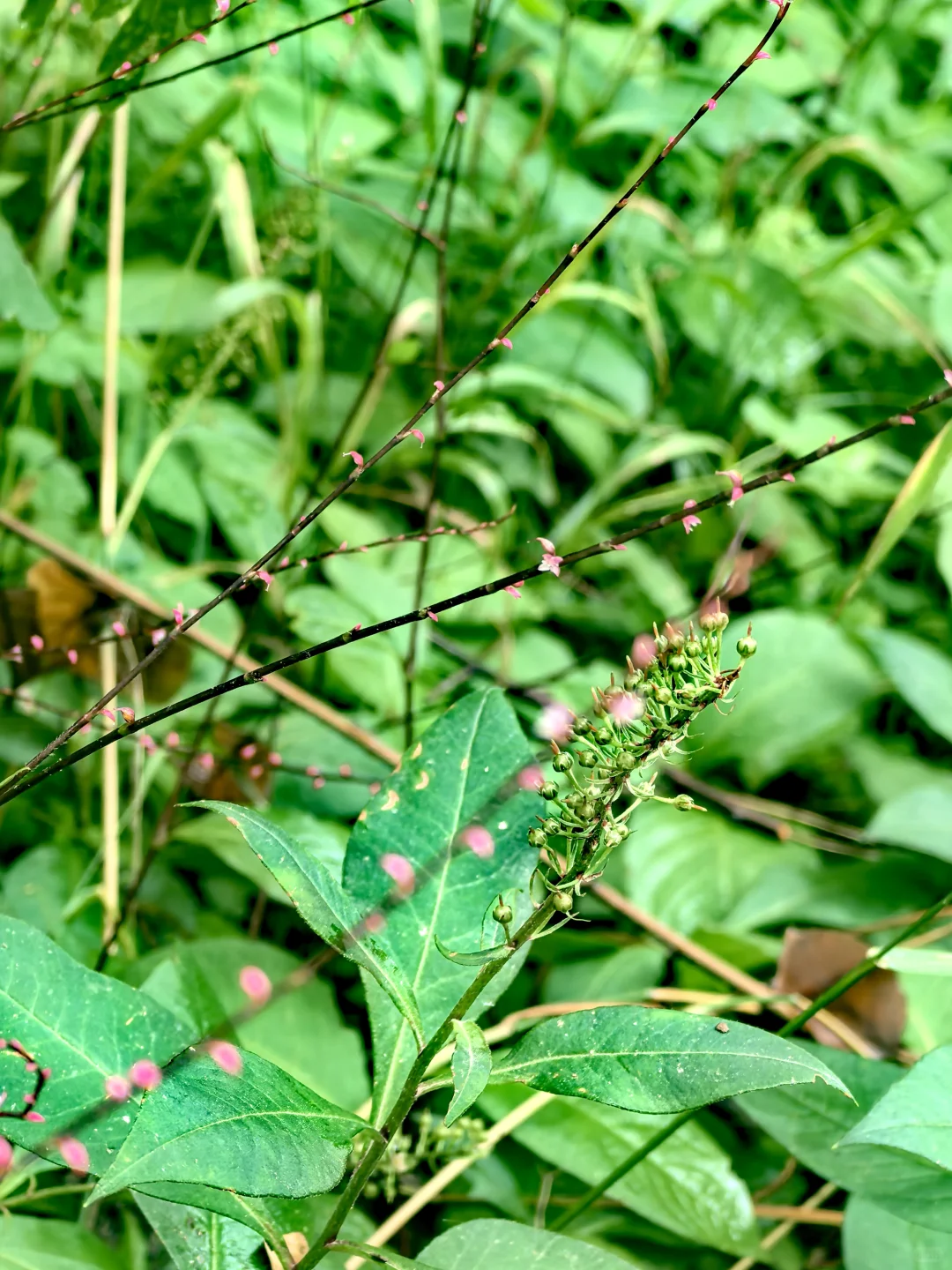玩儿在青岛--崂山景区