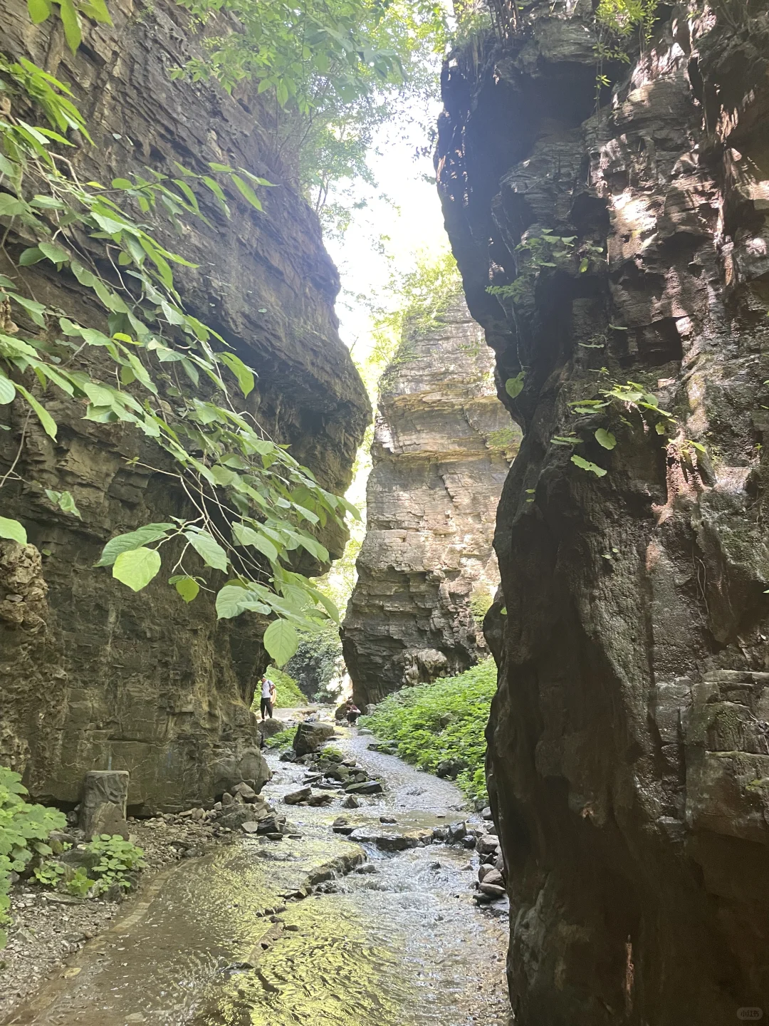 夏日避暑宝藏地|赶快躲进这天然氧吧🍃