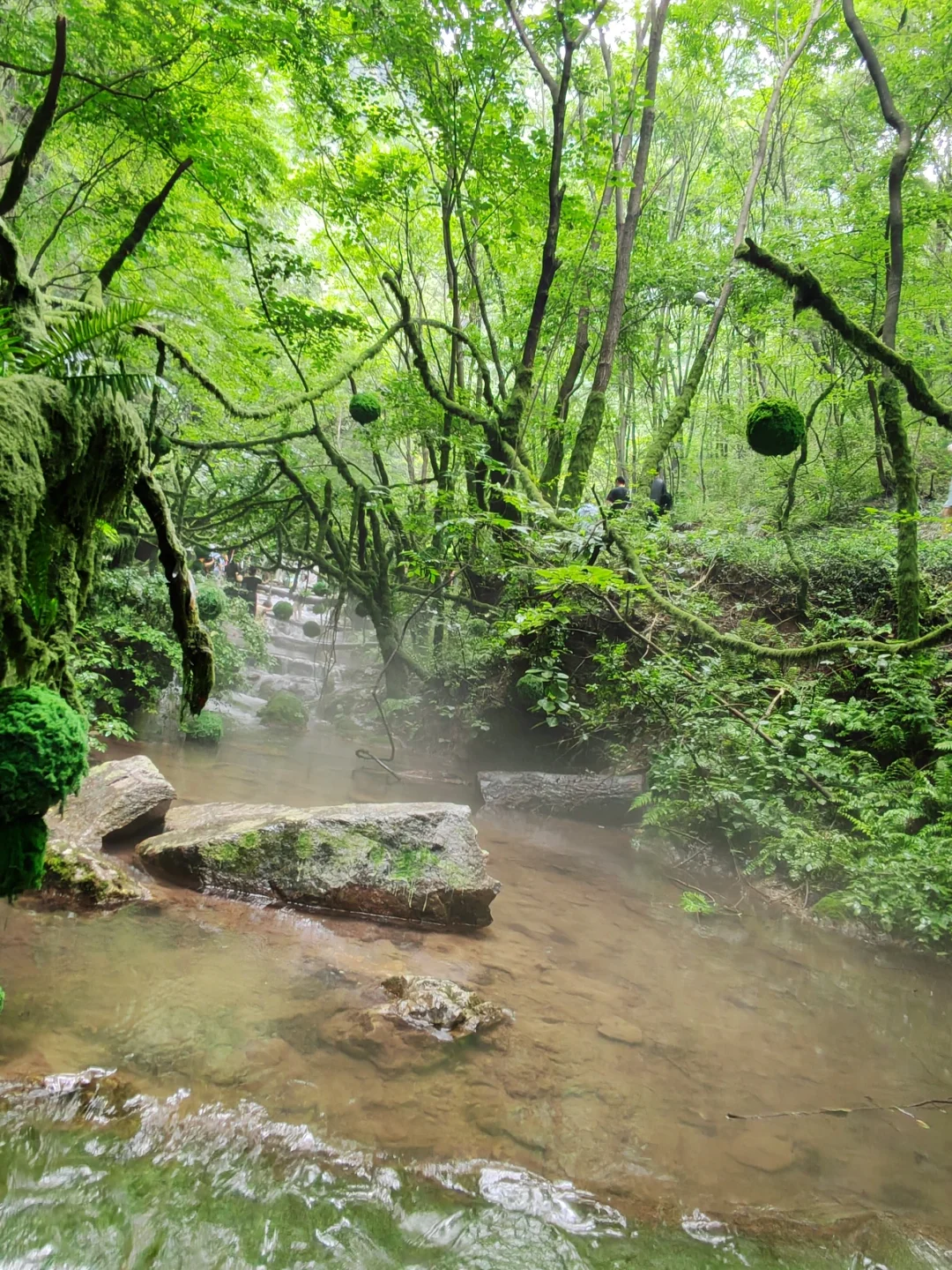 🌳重渡沟｜现实版绿野仙踪
