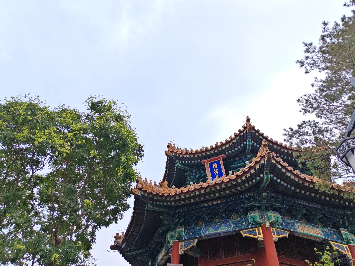 旅游让我忘记自己的内心和自卑