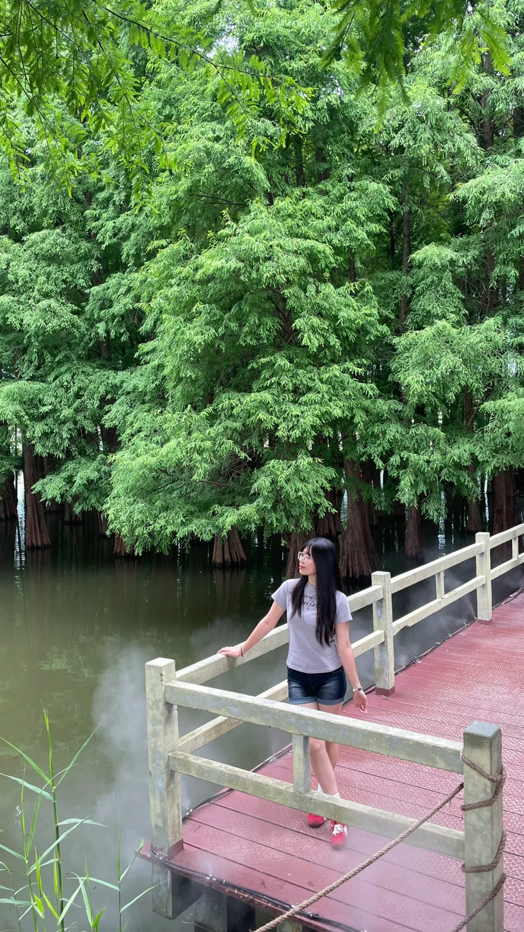 📍肇庆很好 下次不来了