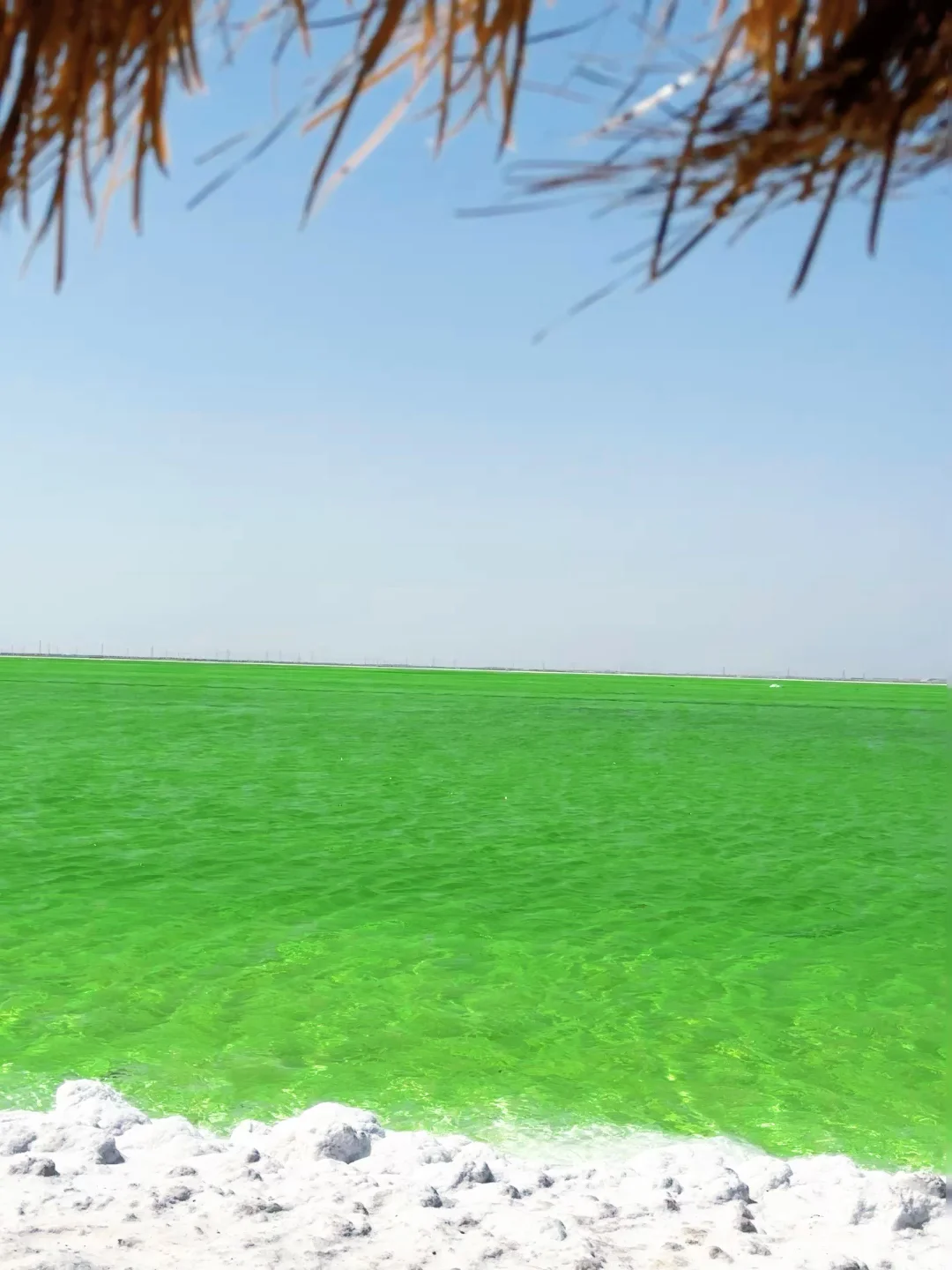 上班累了吧?请你喝上帝打翻的青苹果汁🍏