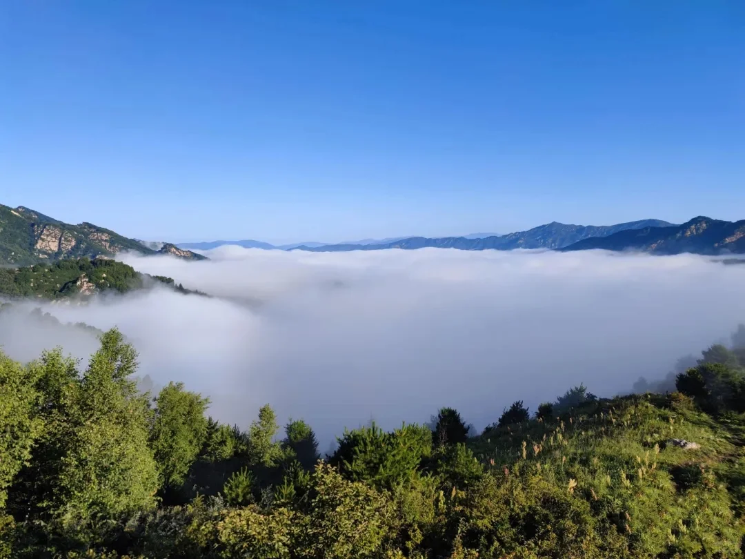 南北驼梁——看最美金莲花