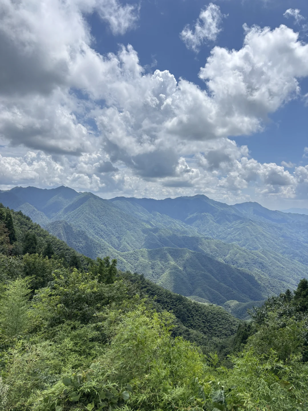 🔥本地导游教你玩转井冈山🔥 （轻松休闲版）