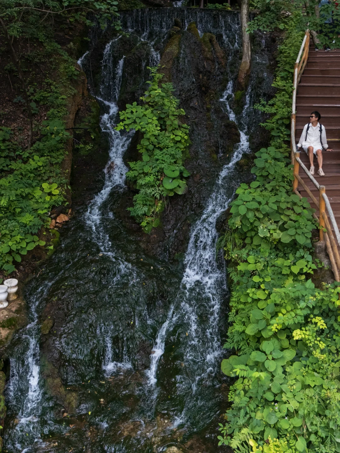 真的有被洛阳浪漫到❤️