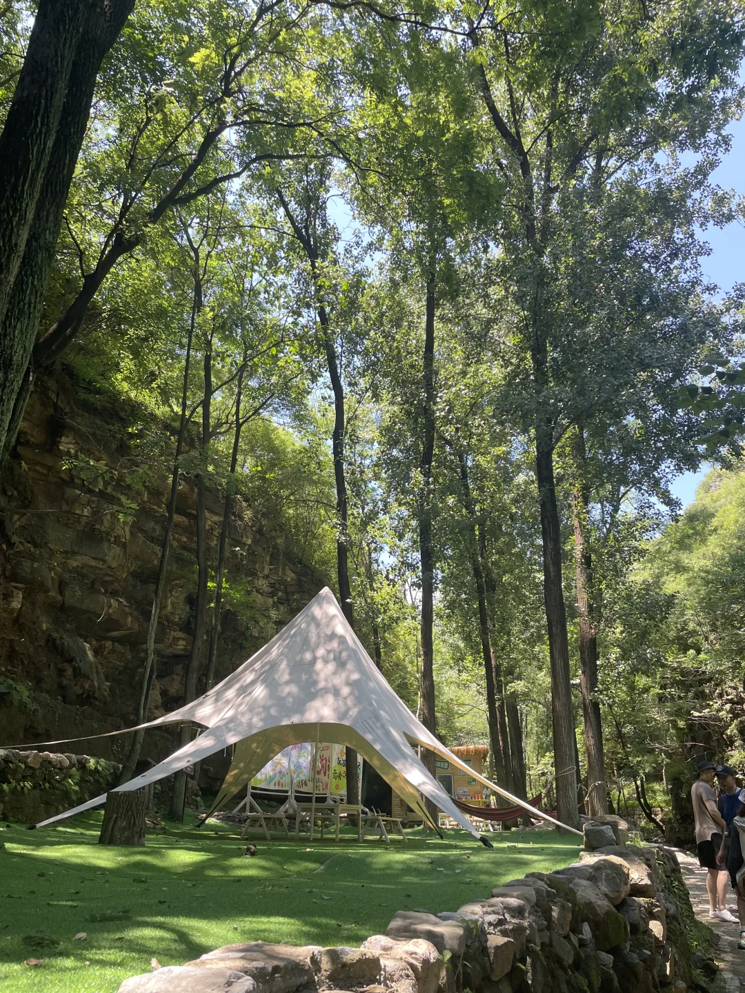 夏日避暑宝藏地|赶快躲进这天然氧吧🍃