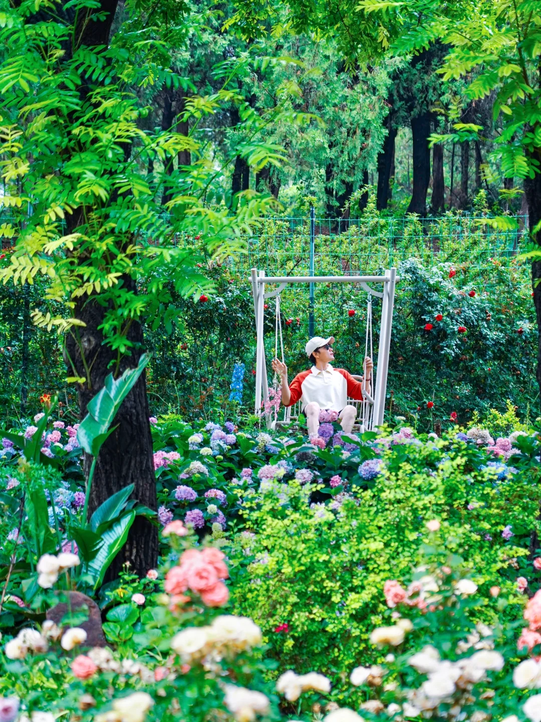 山东曾经的省会对面有森林仙境🍃暑假新去处
