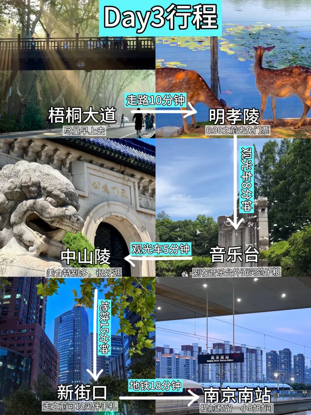 📍7.14已回，南京会奖励每一个穿裤子的人