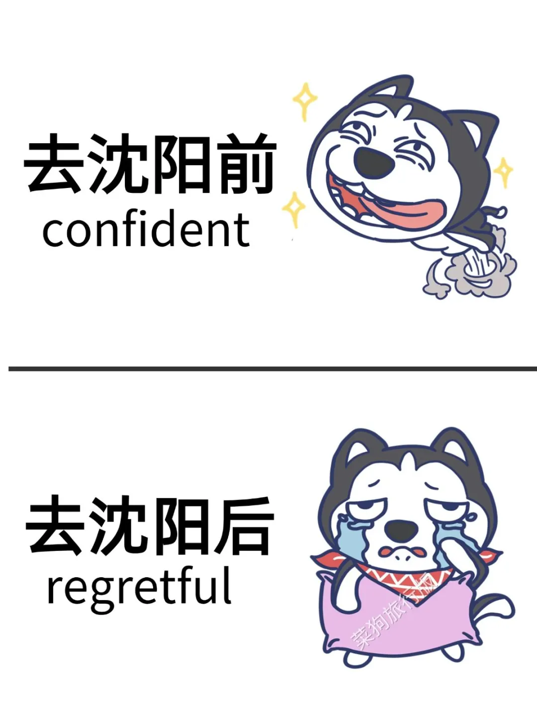 去沈阳之前怎么没有人告诉我啊😭超全避雷