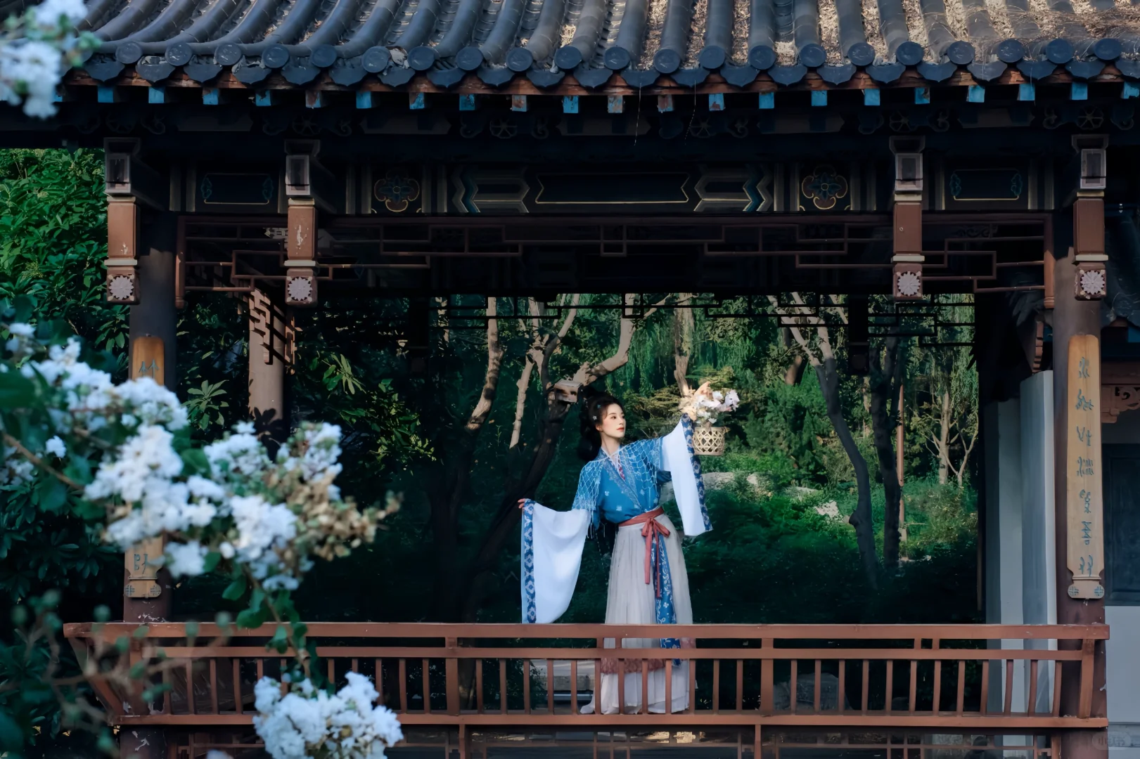 神仙服❗️❗️❗️