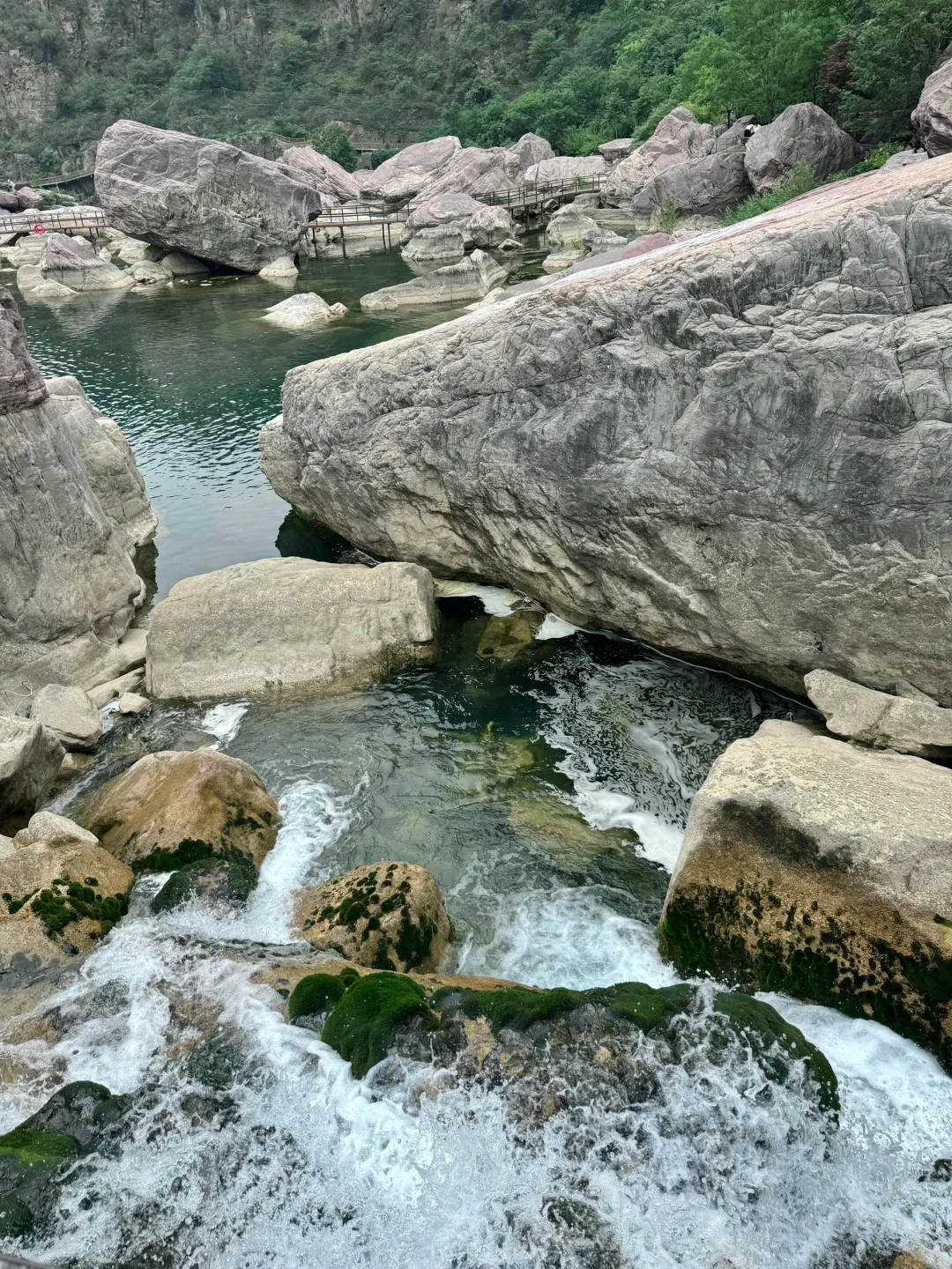 宝泉你真的过分了！一日游保姆级攻略！