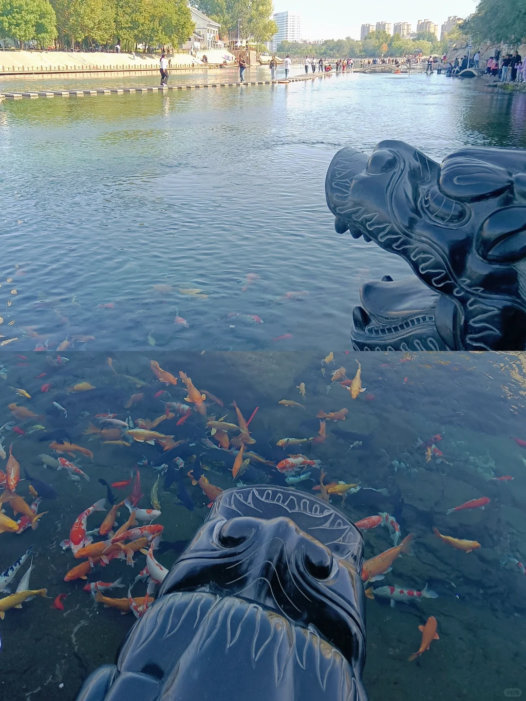 河北小九寨？邯郸黑龙洞我的家乡看过来～