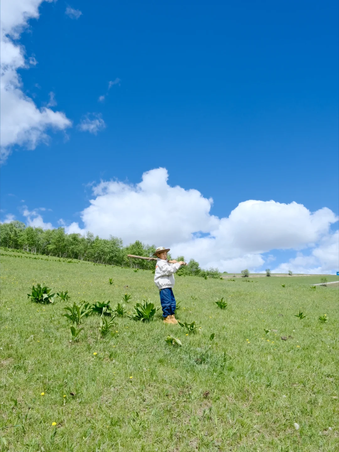 坝上草原 原来蕞美的风景居然都免费🆓