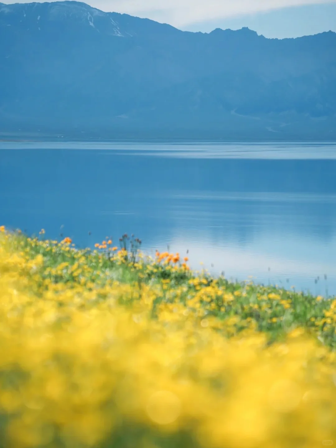 这16个新疆5A级景区你Pick哪个？😍😍