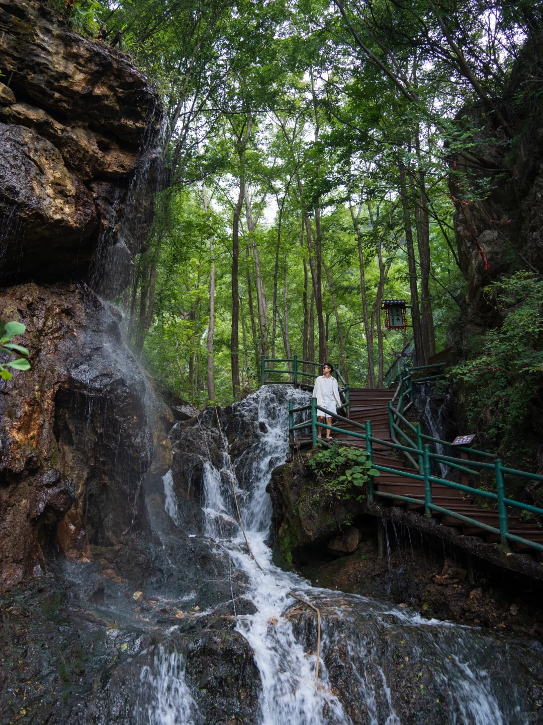 真的有被洛阳浪漫到❤️