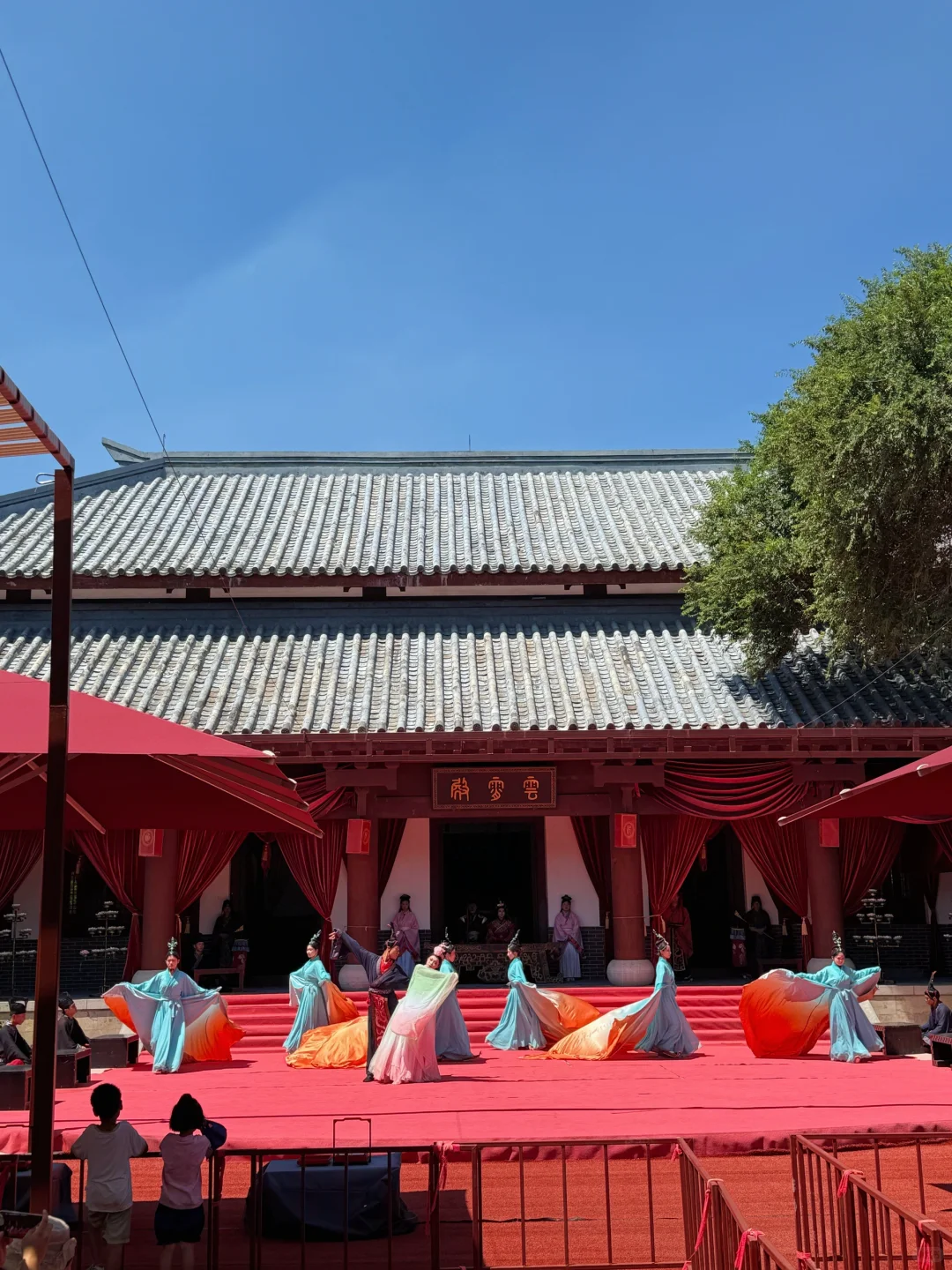 泰安开车2小时!发现绝美森林秘境🌳🦋