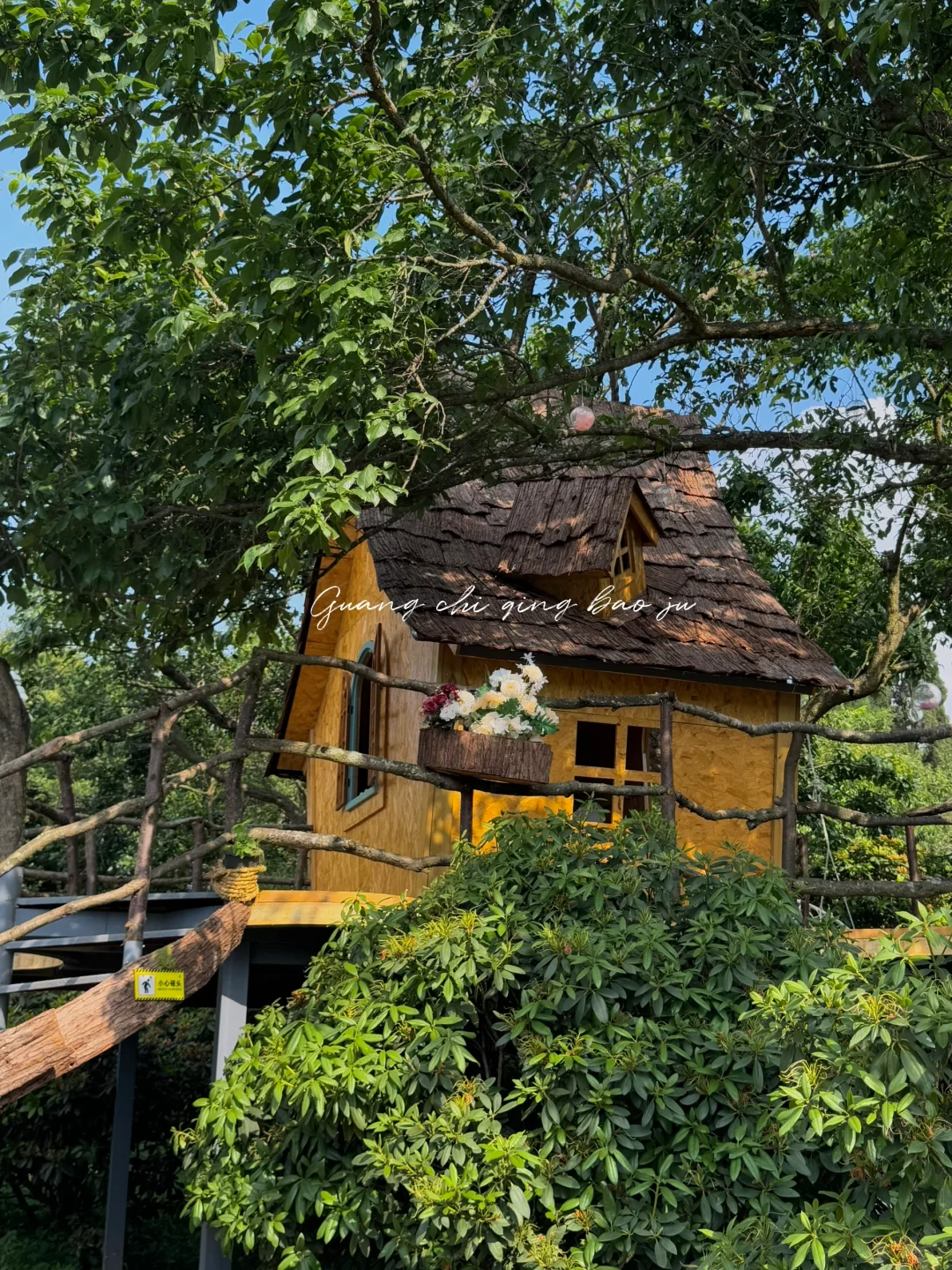 昆明花海🪻这片爱丽丝仙境太美啦！