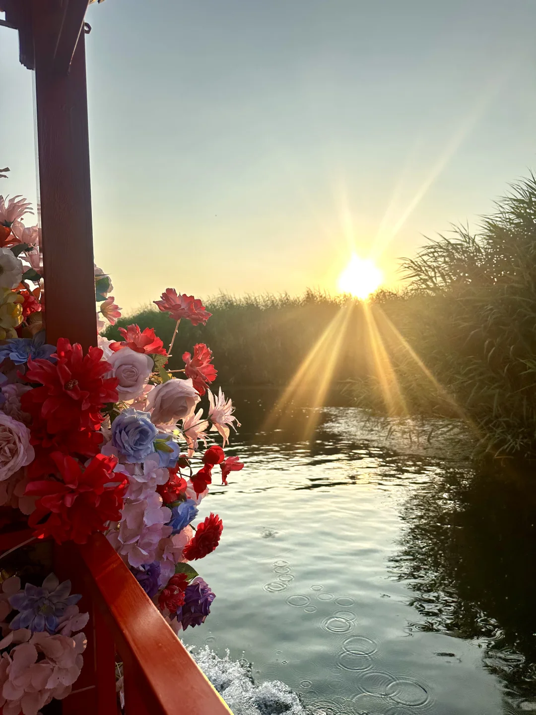 真的不敢相信！在白洋淀遇到了坠美日落🌅