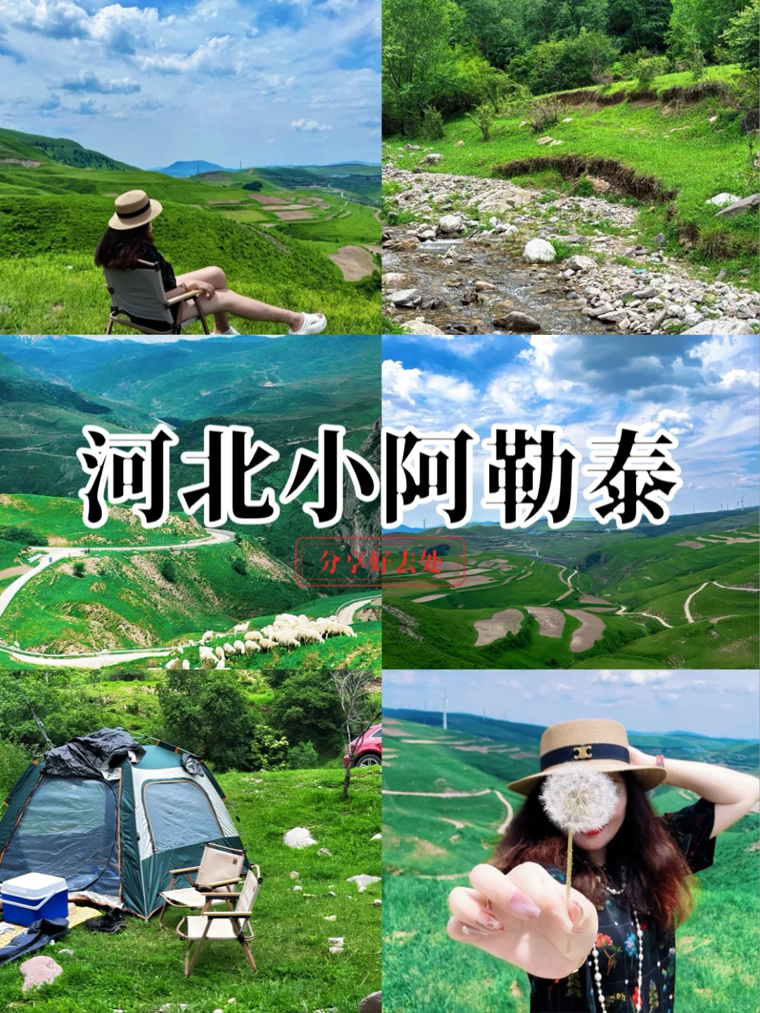 河北小阿勒泰 人少 整个山头都是你的！