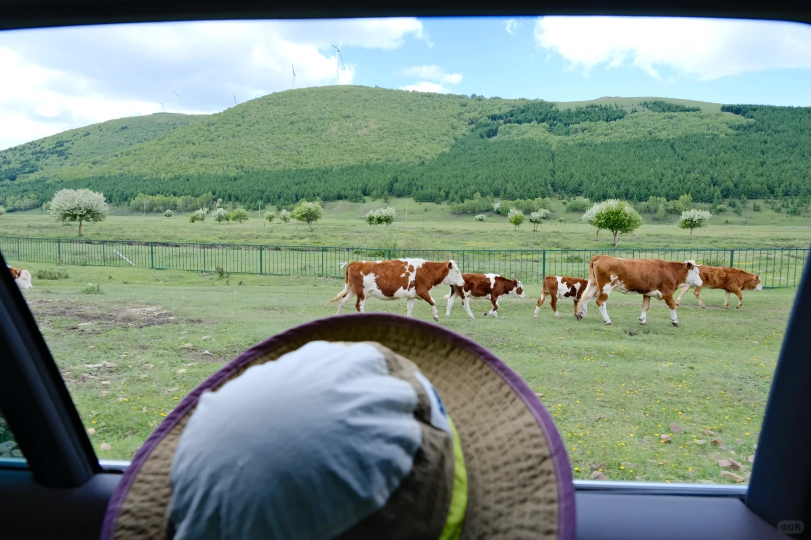 坝上草原 原来蕞美的风景居然都免费🆓