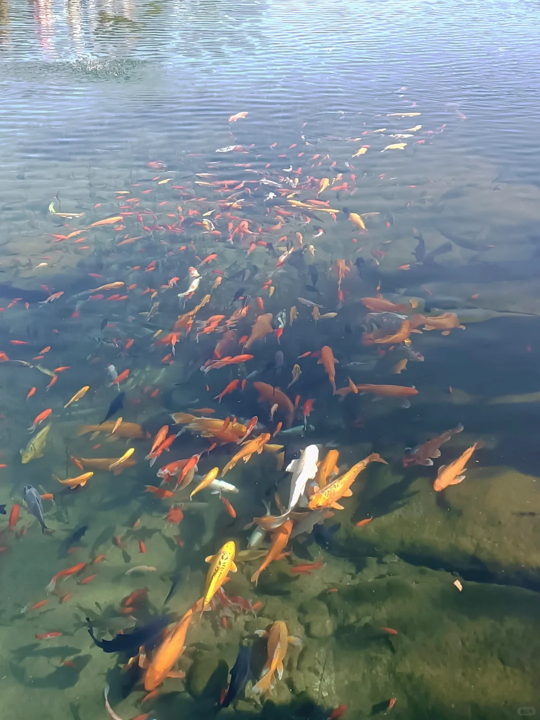 河北小九寨？邯郸黑龙洞我的家乡看过来～