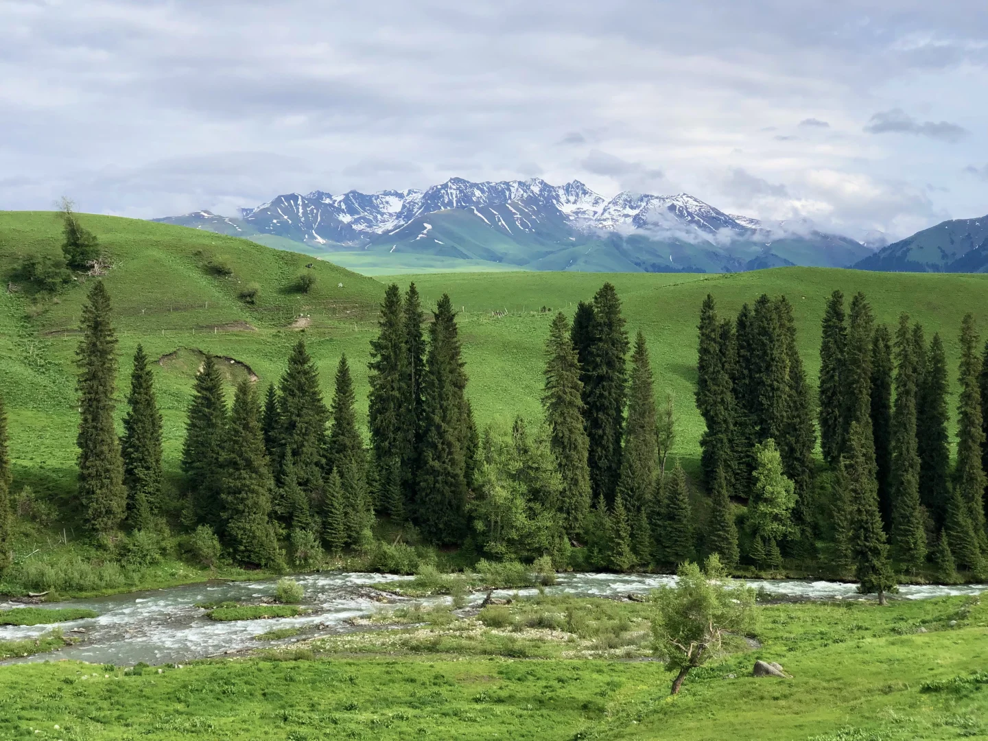 都是些什么人在避雷孟克特古道啊