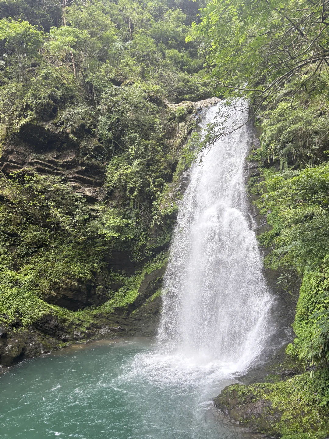 🔥本地导游教你玩转井冈山🔥 （轻松休闲版）