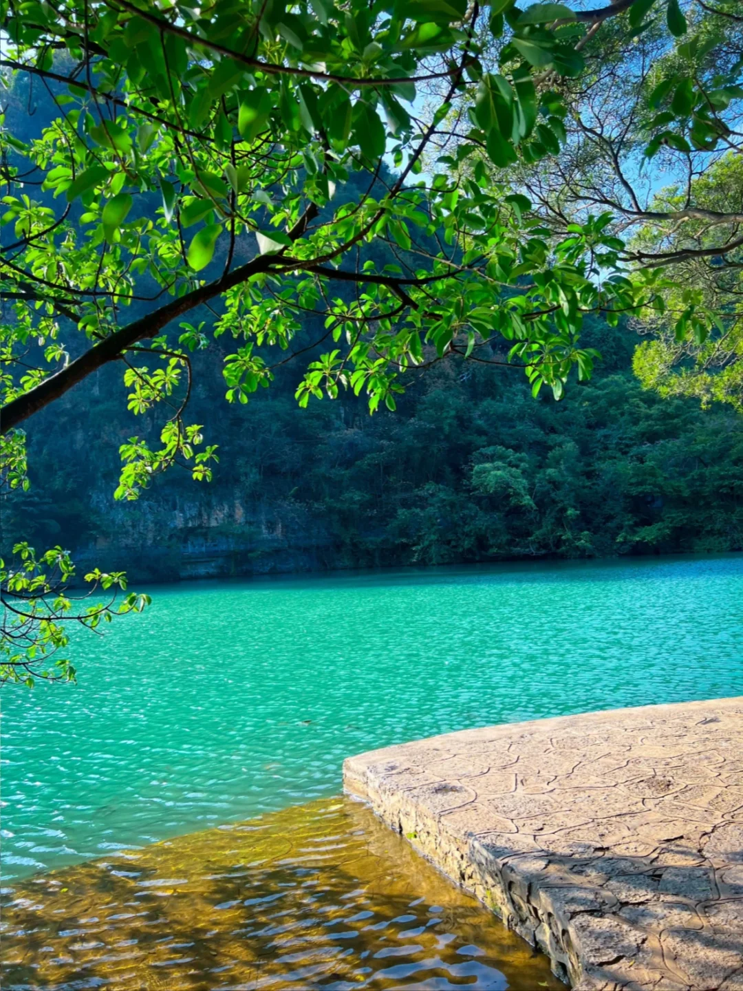 去柳州前,听点不一样的大实话.…