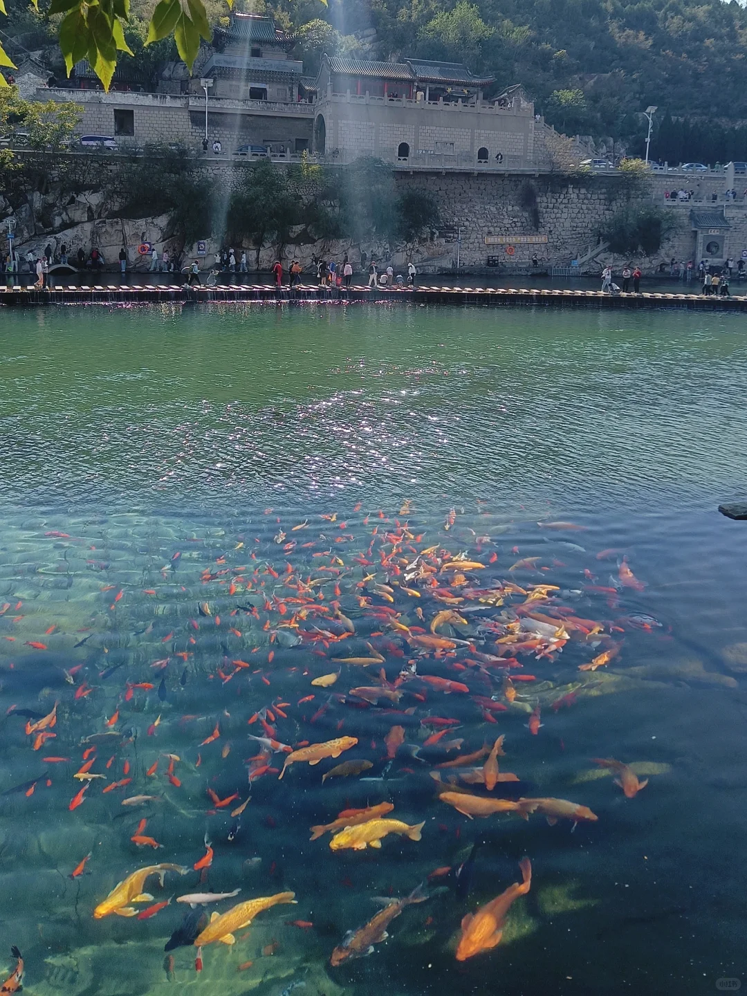 河北小九寨？邯郸黑龙洞我的家乡看过来～