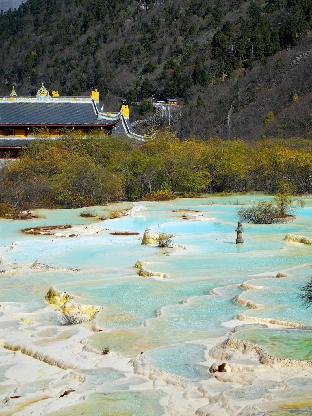 黄龙景区一日游攻略