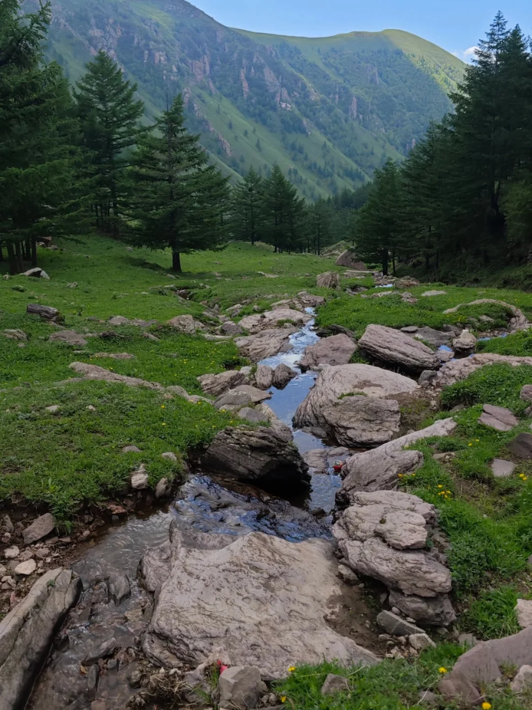 这里不是阿勒泰 是河北蔚县