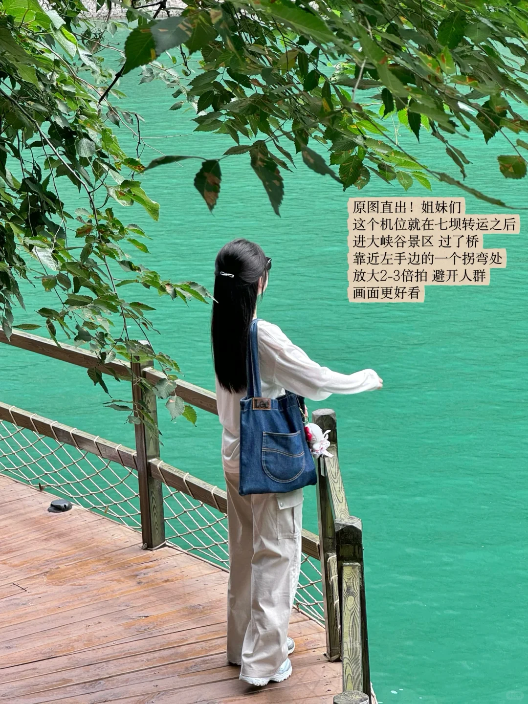 宝泉你真的过分了！一日游保姆级攻略！