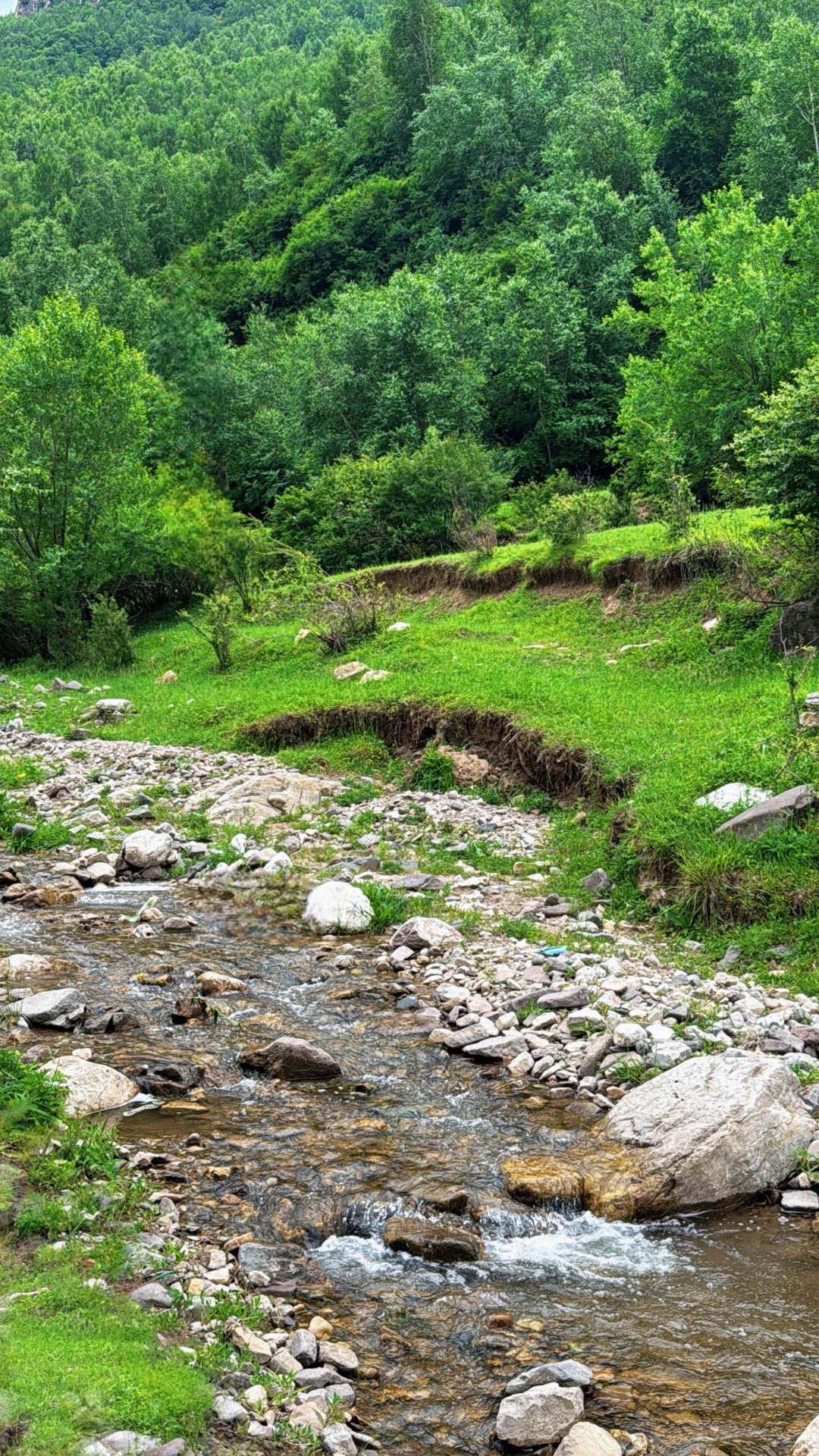 河北小阿勒泰 人少 整个山头都是你的！