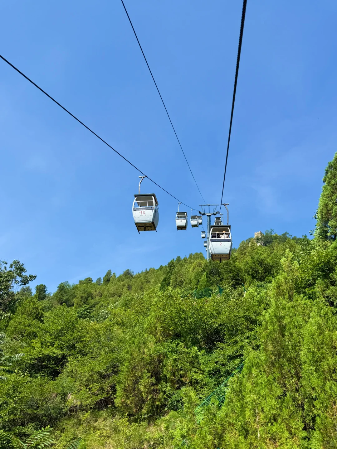 泰安开车2小时!发现绝美森林秘境🌳🦋