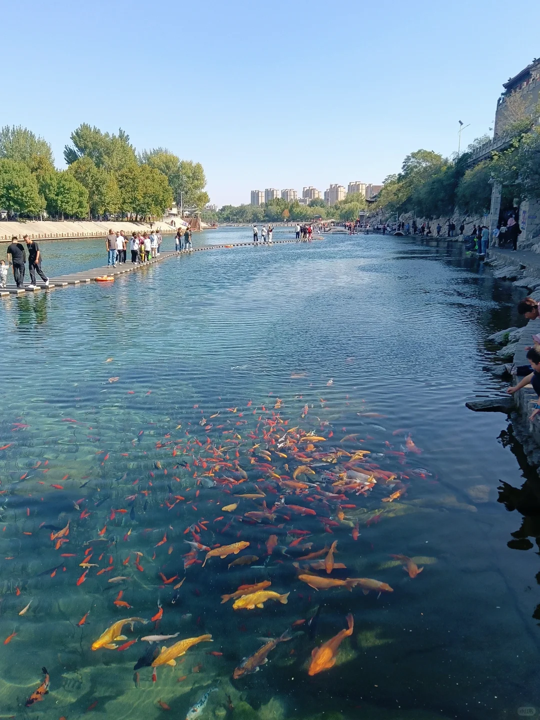 河北小九寨？邯郸黑龙洞我的家乡看过来～