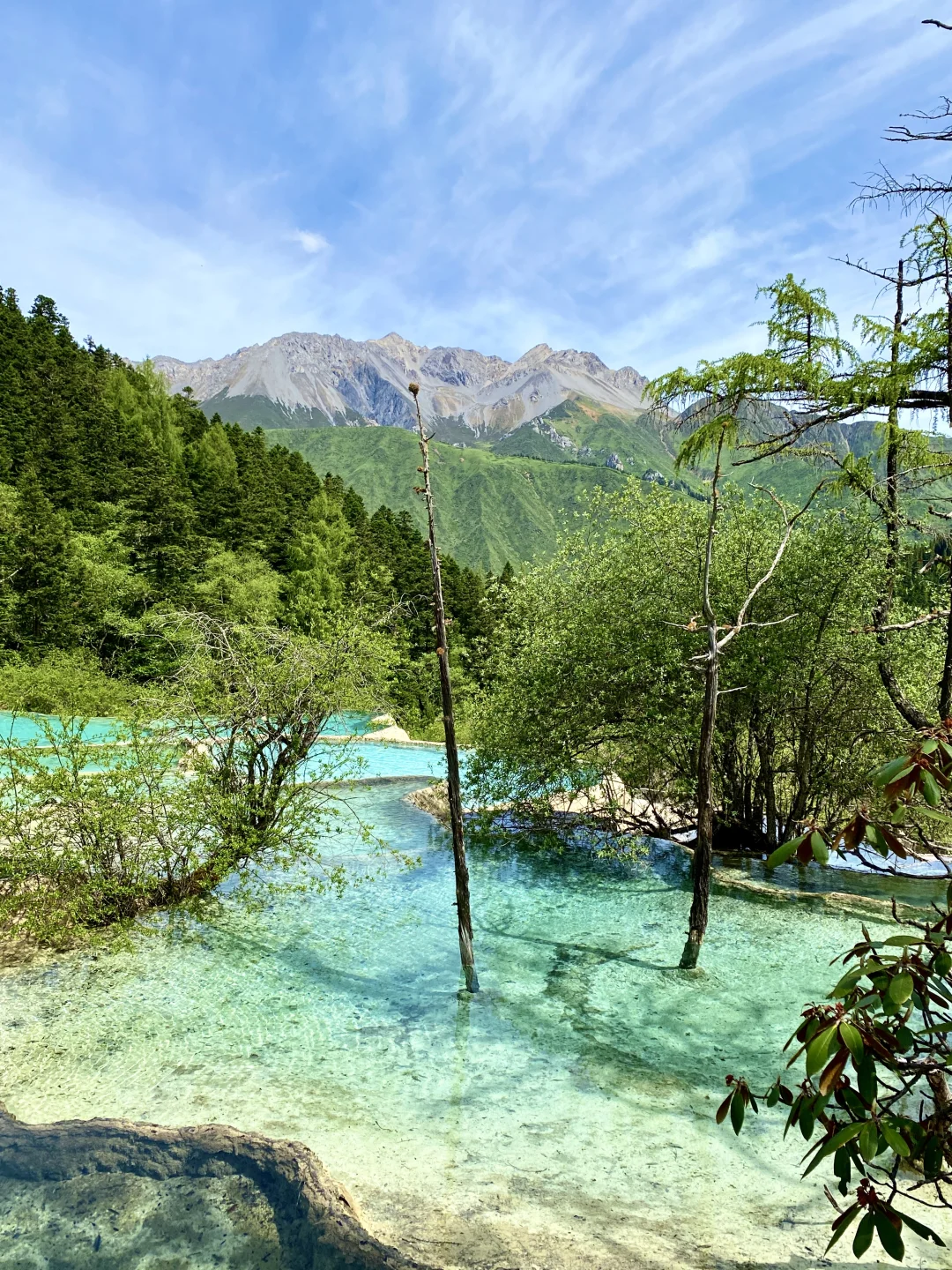 黄龙争艳池&五彩池💙💚