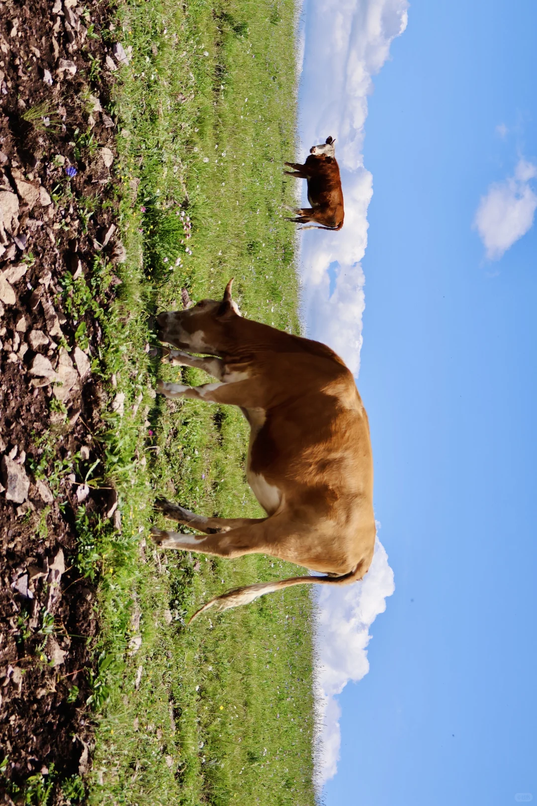 📷24｜逃离北京之河北承德百里天路（附攻略）