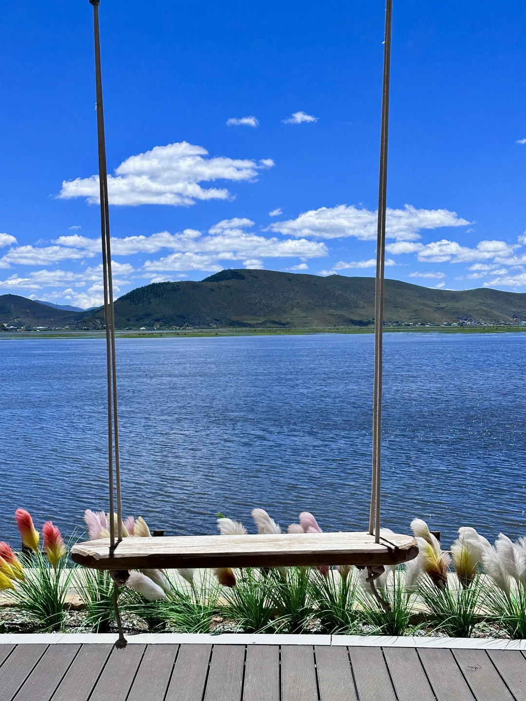 📍香格里拉|今日实况纳帕海惊现彩虹🌈