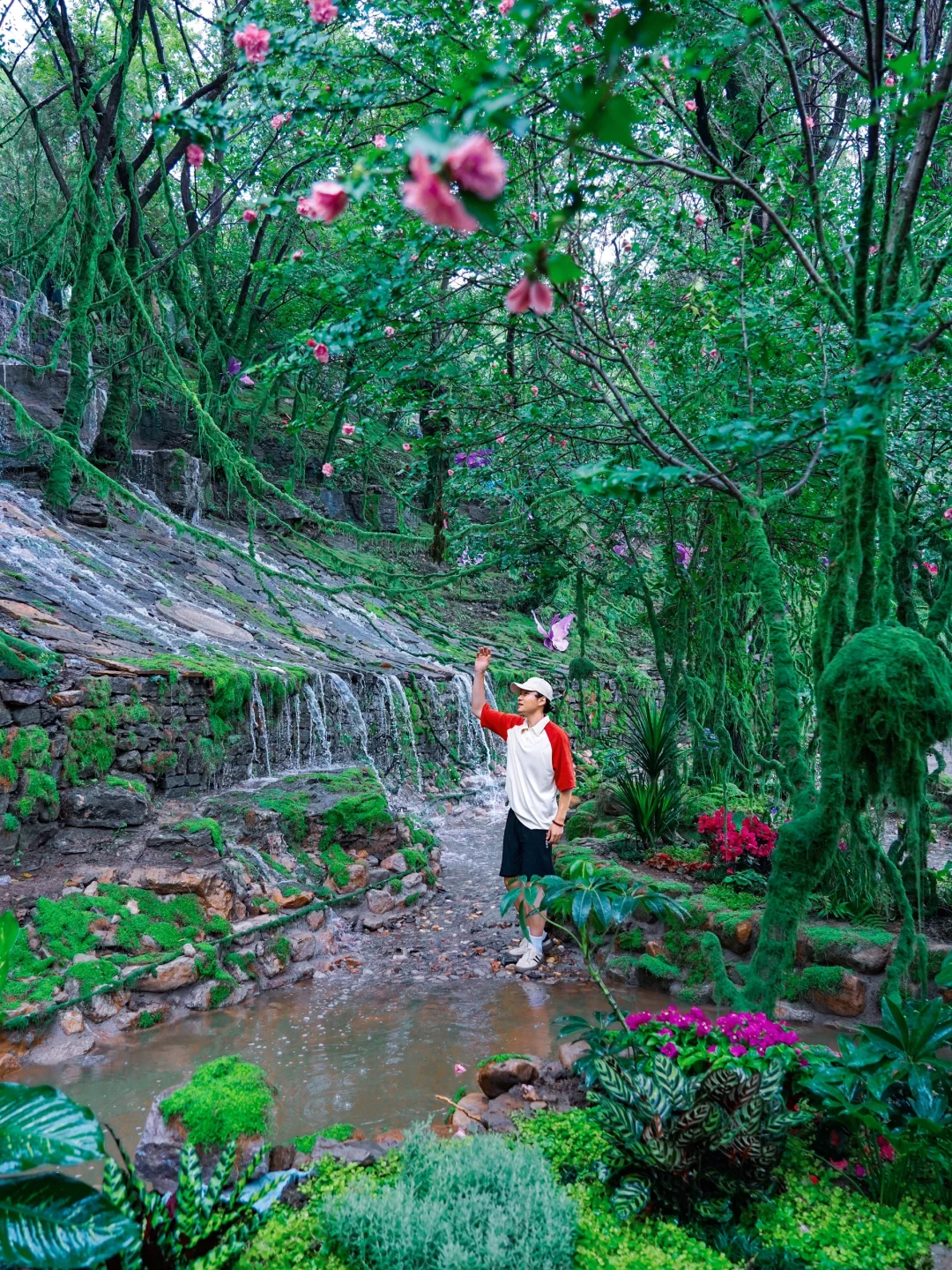 山东曾经的省会对面有森林仙境🍃暑假新去处