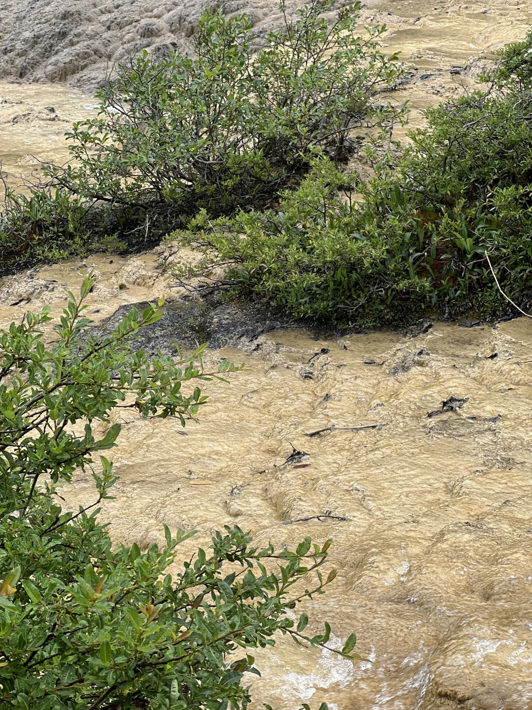 学习语文书第一课——五彩池