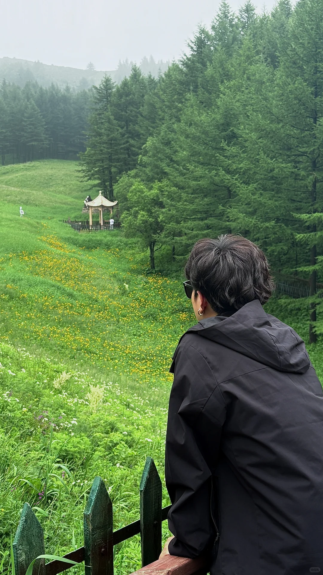 驼梁山风景区⛰太凉快了️