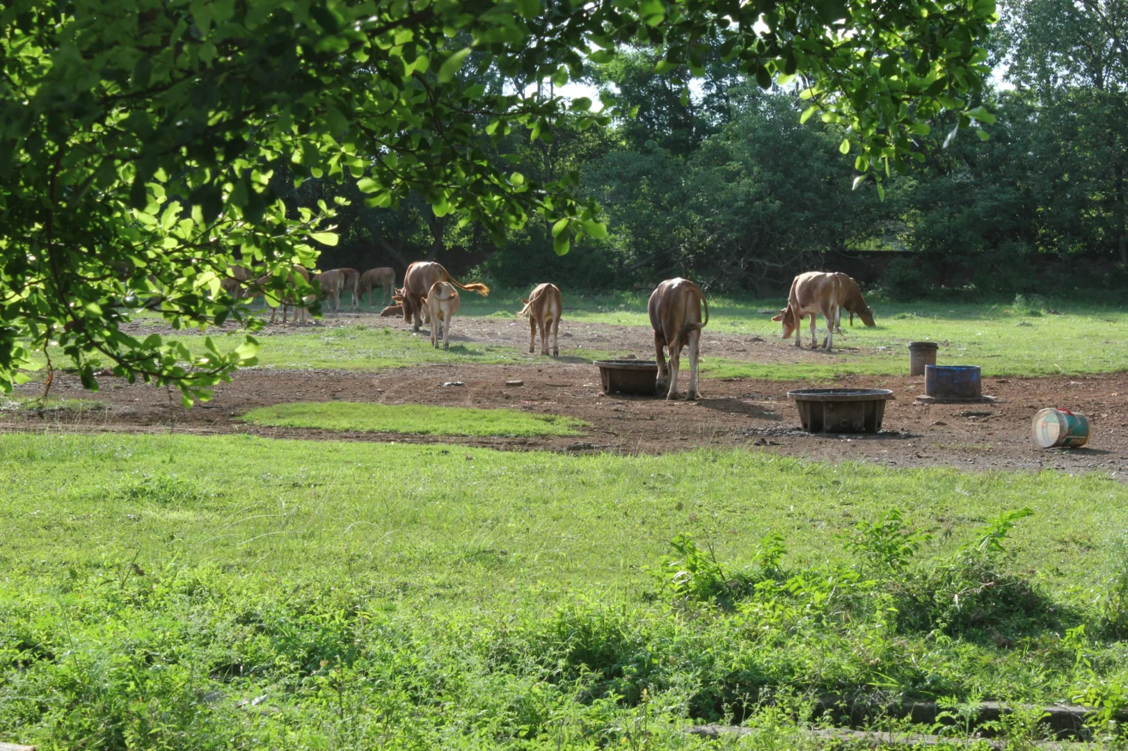 去广西旅游,我是怎么把每一个坑都踩遍的?
