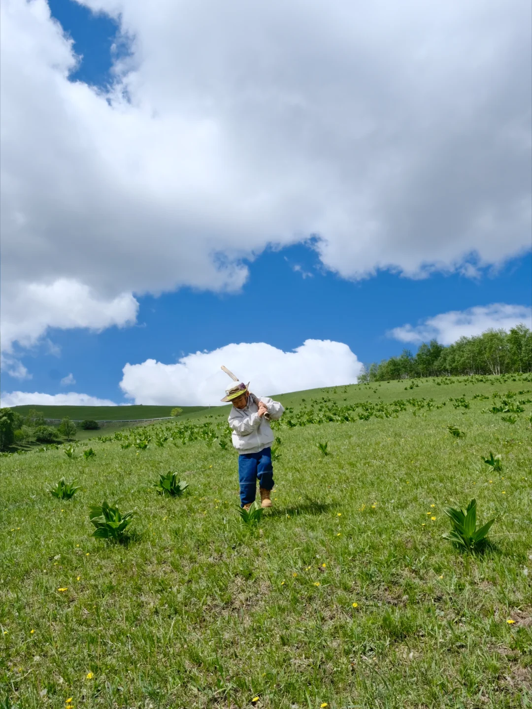 坝上草原 原来蕞美的风景居然都免费🆓