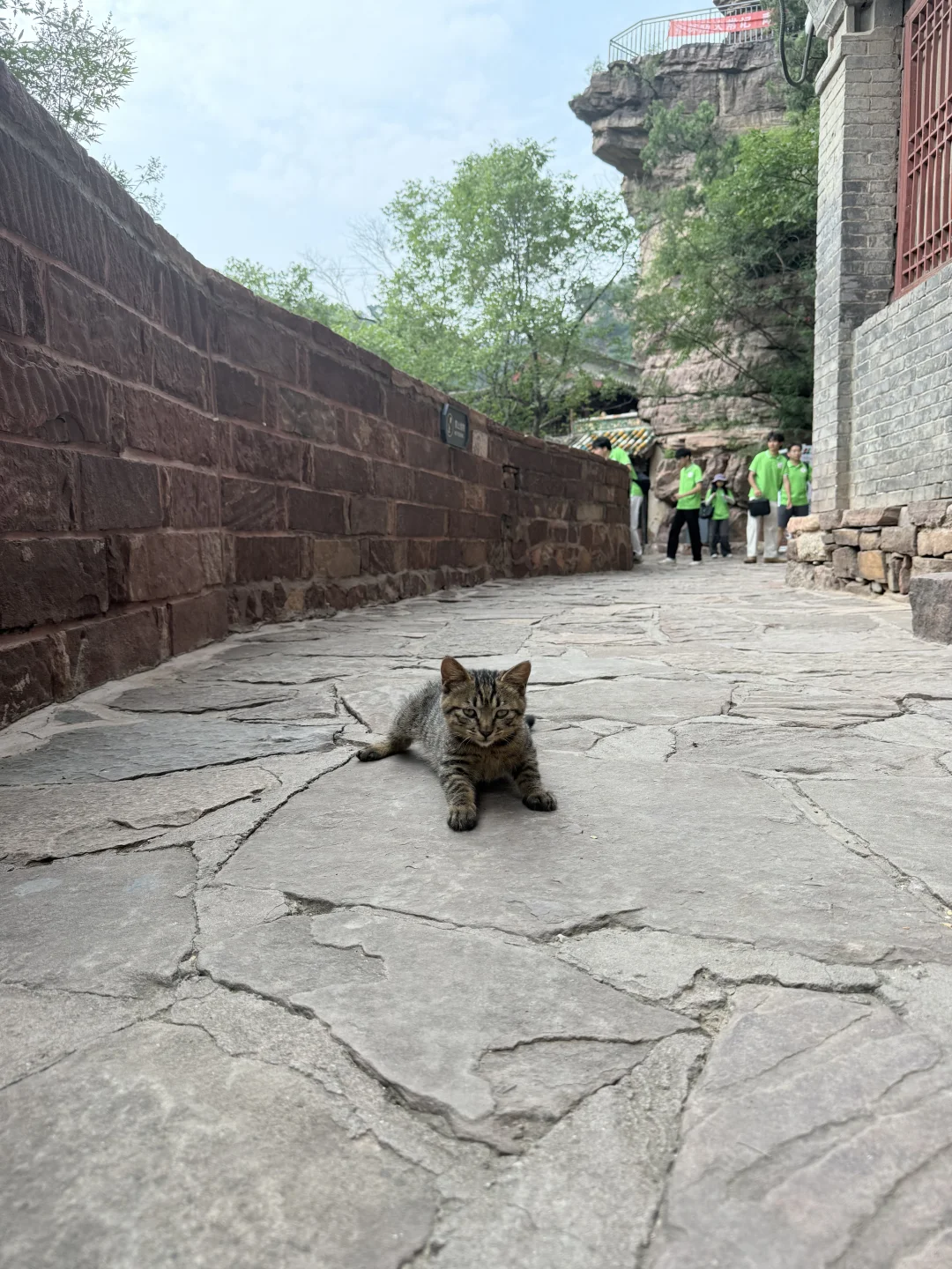 井陉苍岩山 太适合轻爬山了⛰️🪨