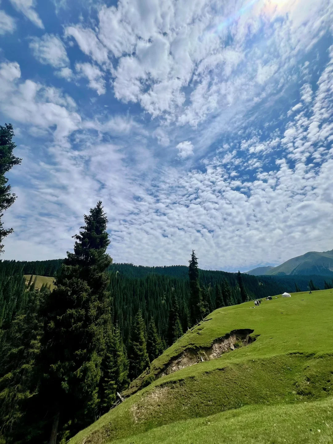 乌鲁木齐平替伊犁景色之-“小渠子”🌳