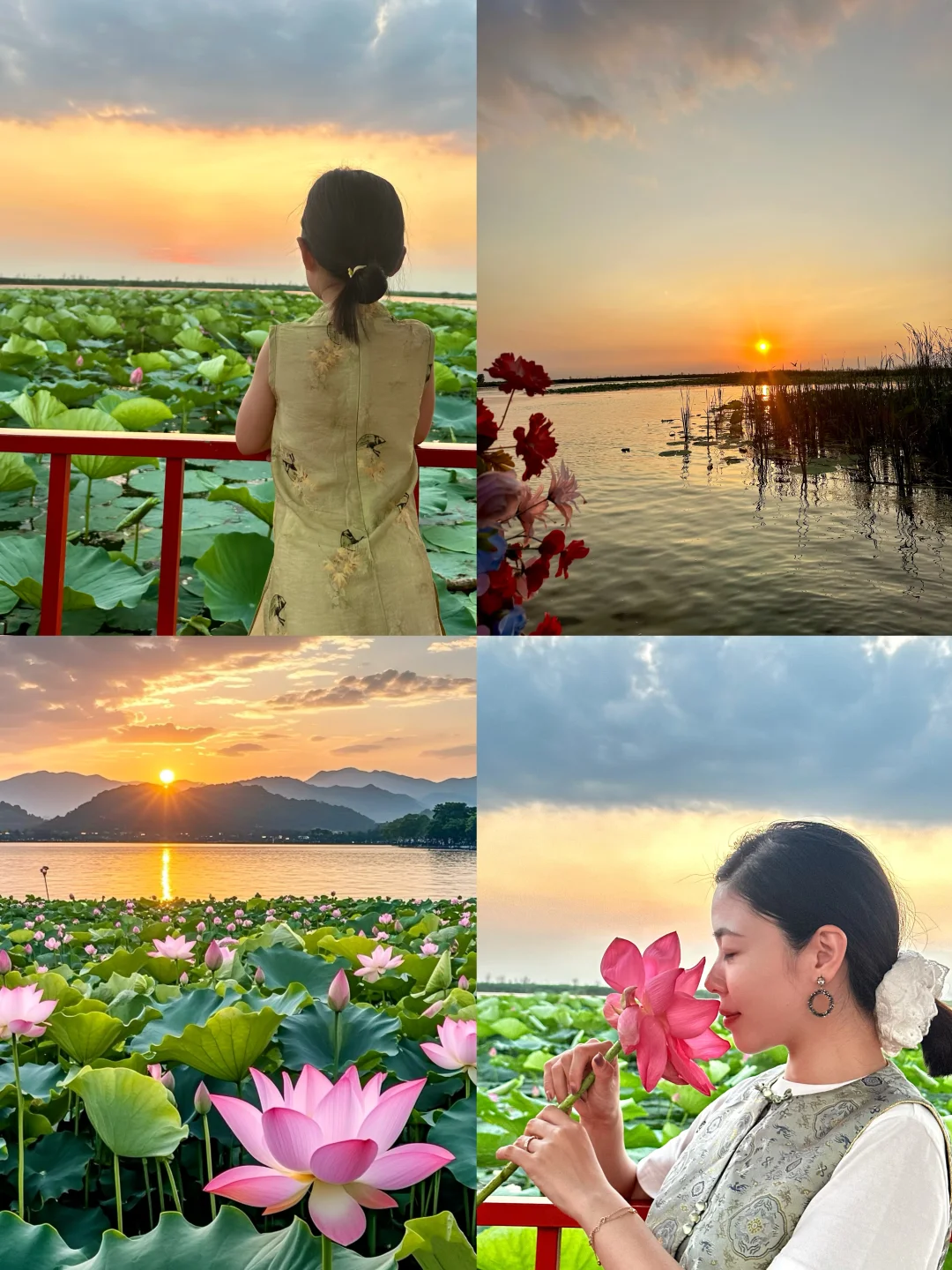 真的不敢相信！在白洋淀遇到了坠美日落🌅