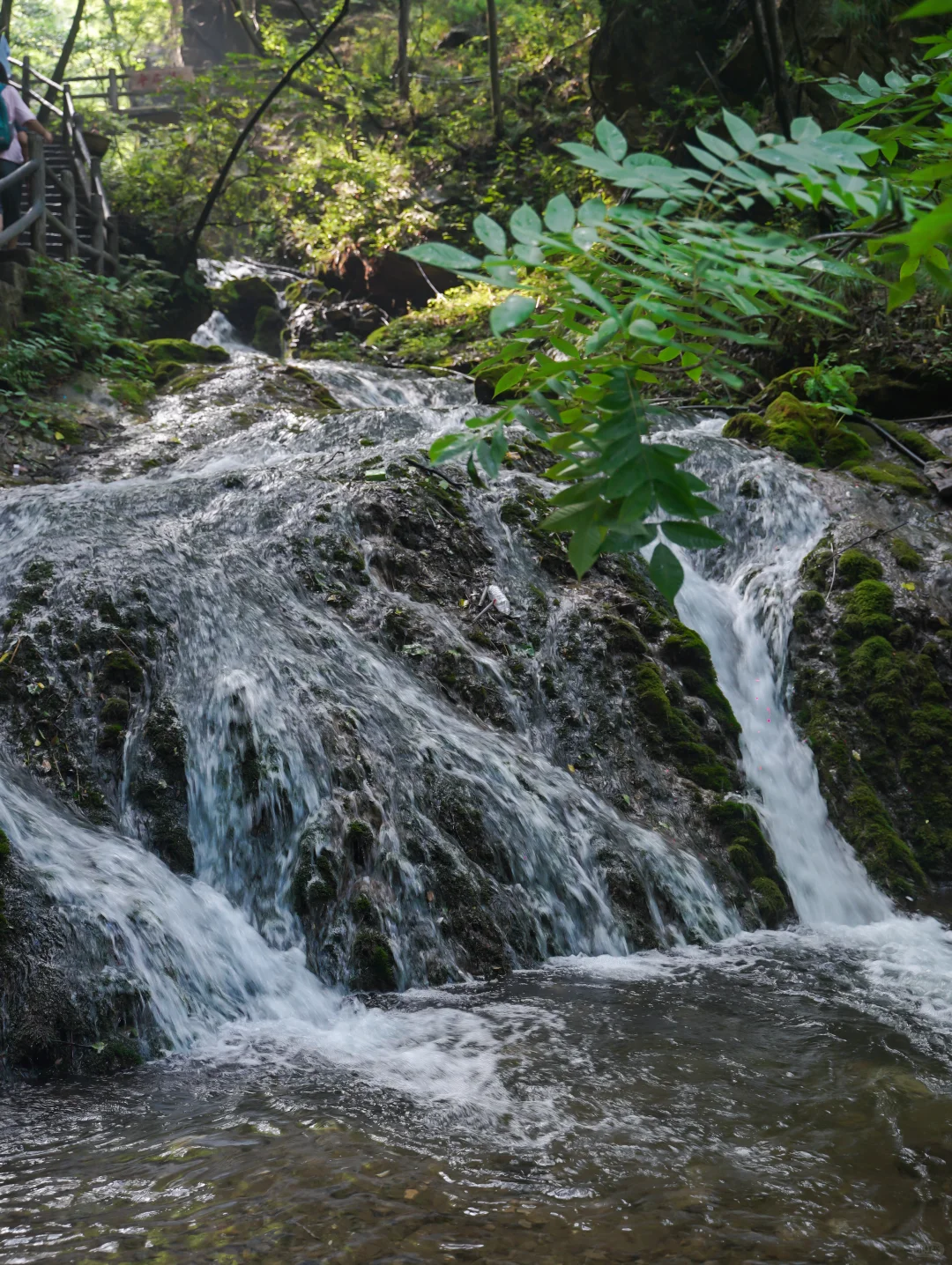 河南人嘴真严啊‼️栾川竟然藏着人间仙境！